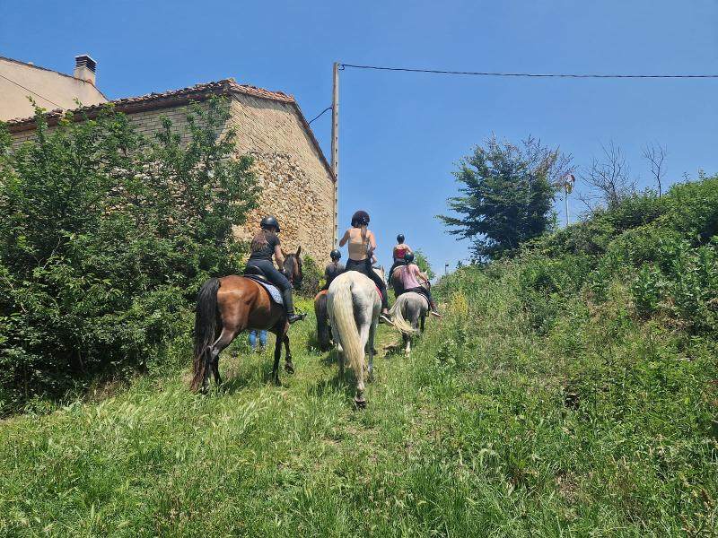 un gupo de niñas montadas a caballo en un prado al lado de una casa rural en un campamento de caballos