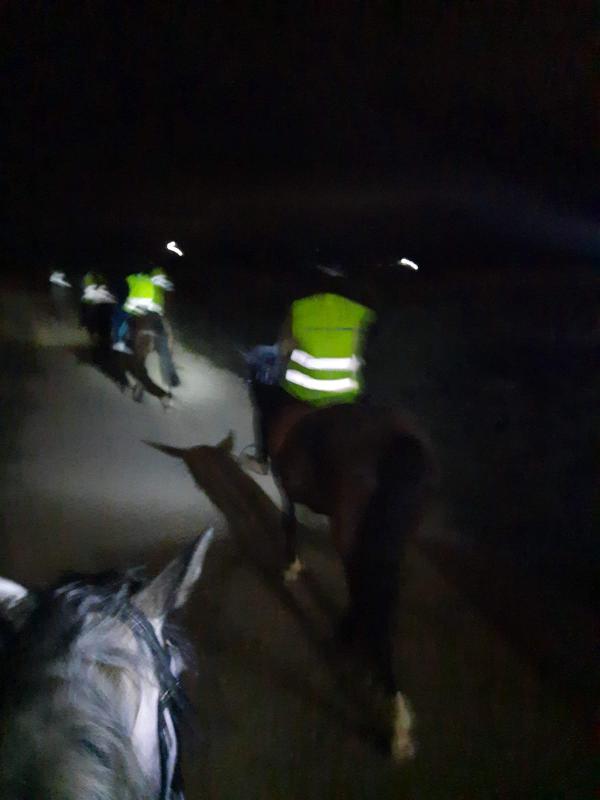 Una excursión nocturna en un campamento de caballos