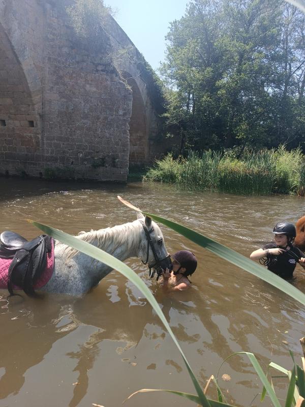 Unas niñas nadando en un rio acariciando los caballos en un campamento de caballos