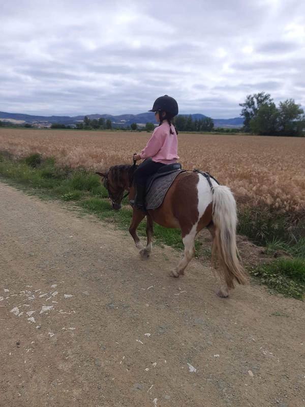 una niña montando a pony en un campamento de caballos