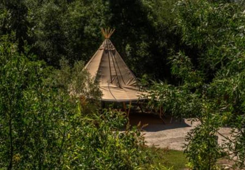 Una cabaña en el medio del bosque en un campamento ingles madrid