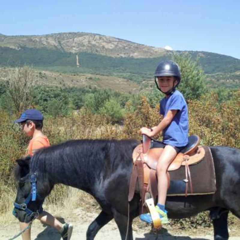 un niño subido a un caballo en un campamento ingles madrid