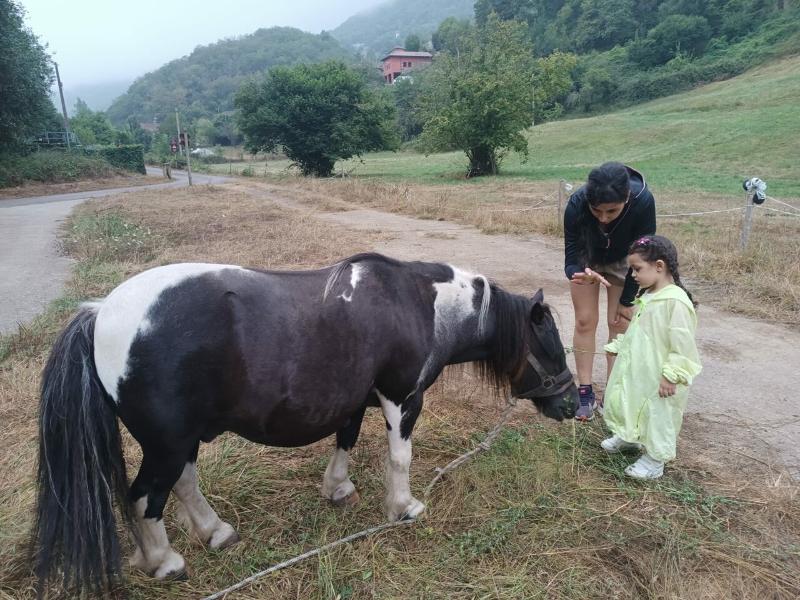 Dos niñas acariciando a un burro en un campamento multiaventura asturias