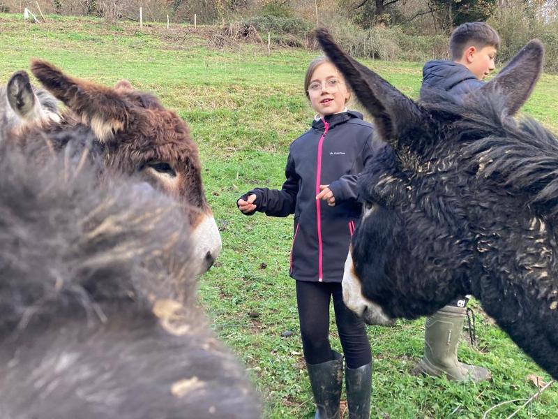 Una niña pasando tiempo con animales en un campamento multiaventura asturias