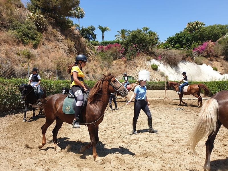 Jovenes practicando hipica en un campamento de verano marbella