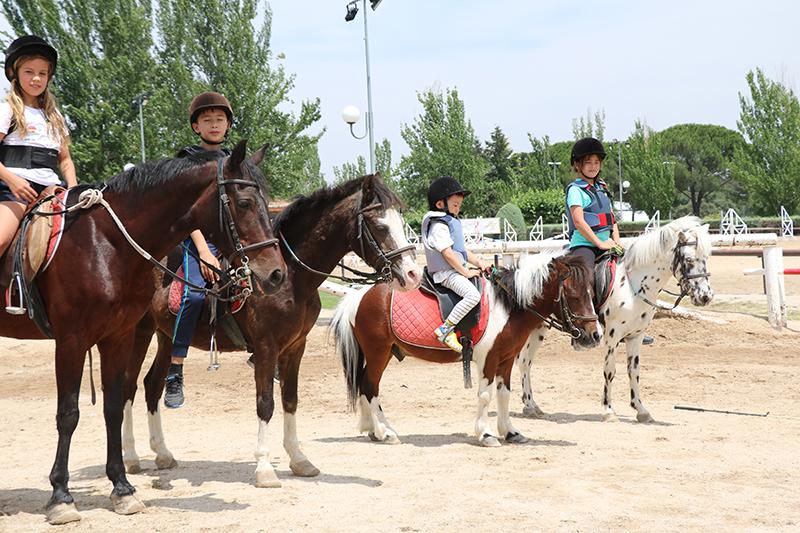 Jóvenes en caballos y ponis en el campamento comunidad de madrid