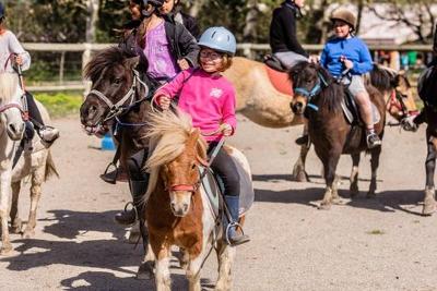 Campamento de Equitación en Francés Pirineos - Pirineos Orientales