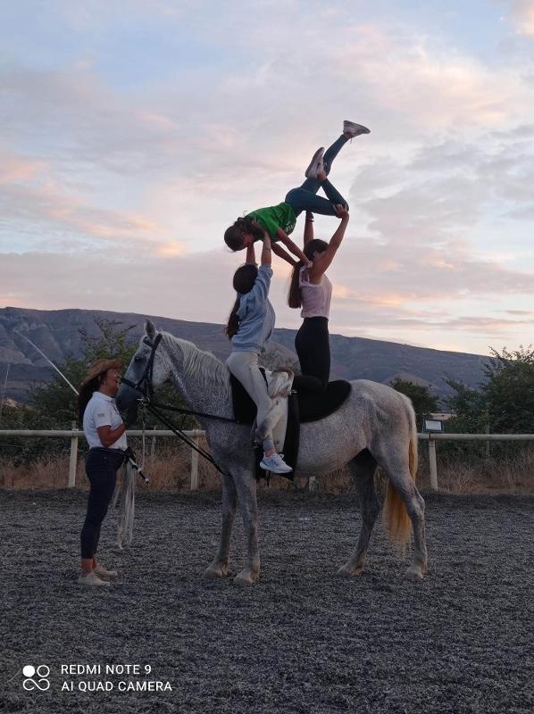 Campamentos de Caballos en Madrid