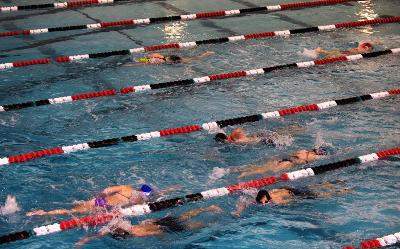 Campamentos de Natación 2025