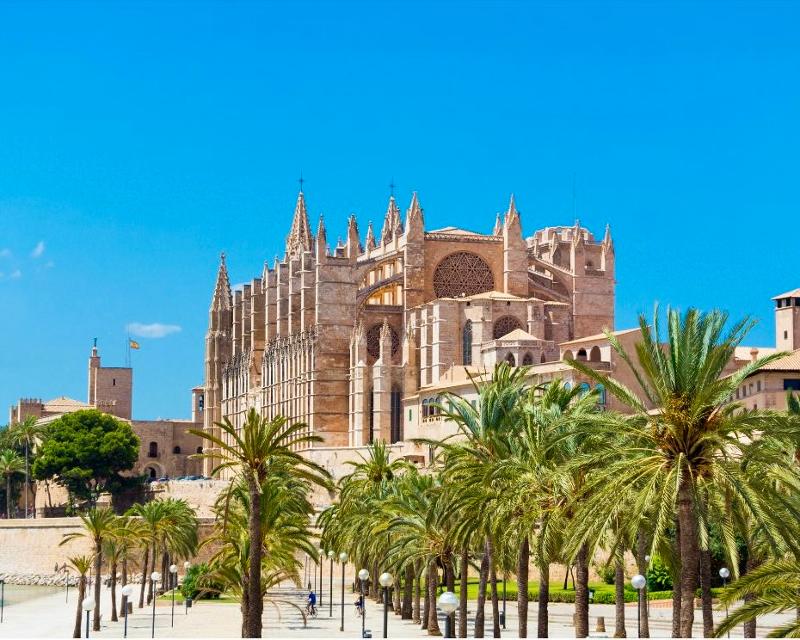 Campamentos de Verano Palma 2026