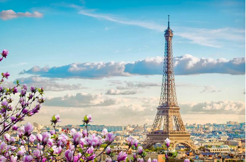 Cursos de Idiomas en Francia 2026