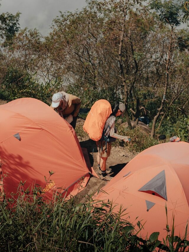 Campers en beneficios de aprender idiomas