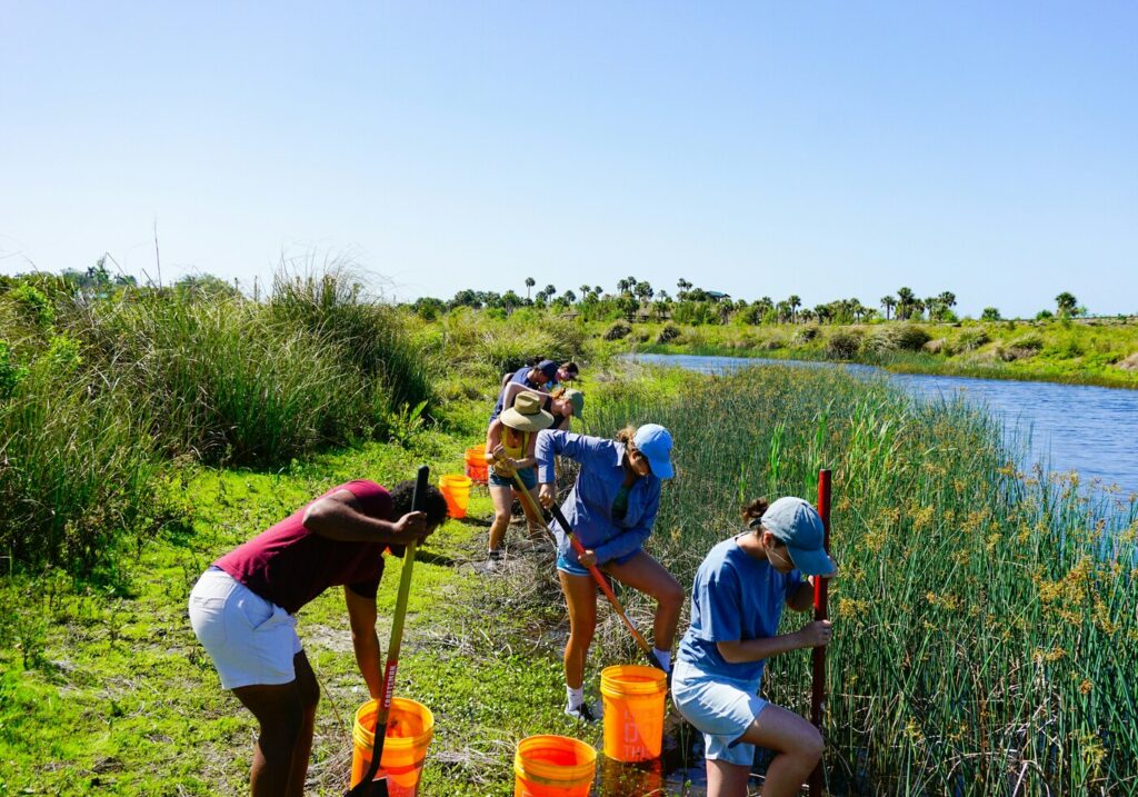voluntariado en verano